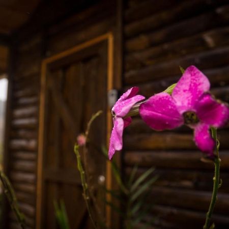 Finca Las Huellas: Cabana Acogedora En La Montana Villa Estrella Esterno foto